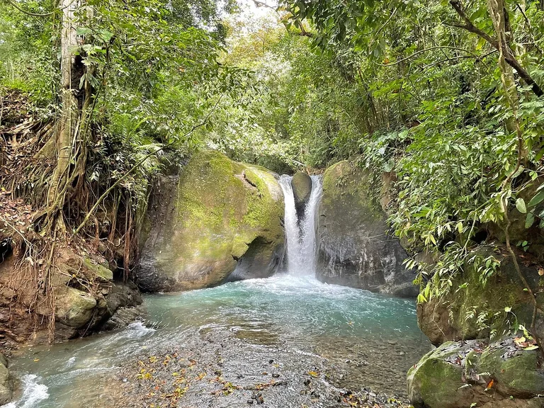 A jungle waterfall dropping into a turquoise pool between moss-covered boulders