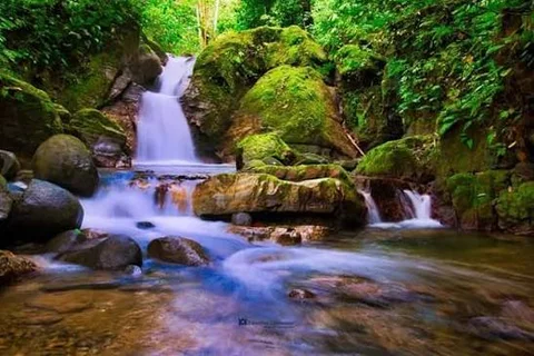 A jungle waterfall cascading over moss-covered boulders, approximately 1/4 mile from Casa Cascada