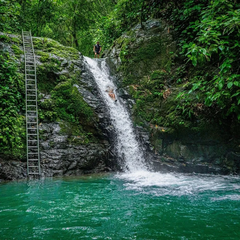A visitor sliding down a jungle waterfall into a turquoise pool, with a metal ladder alongside for climbing back up