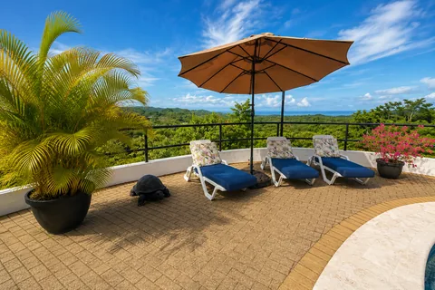 Poolside lounge chairs and umbrella with a resident tortoise on the deck and an ocean view beyond